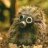 igel#13535