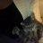 stellabienchen#9420
