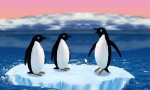 Game : Pinguin schnipsen