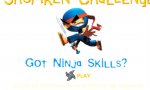 Game : Desktop Ninjas