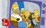 News_x : Die Simpsons - Komplette Staffel 1, Sammleredition