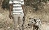 Fun Pic - Niedliche kleine Haustiere - 1