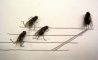 Fun Pic - News From The Animal World: Flies Private - 2
