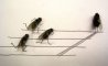 Fun Pic - Neues aus der Tierwelt: Fliegen privat - 2