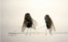 Fun Pic - Neues aus der Tierwelt: Fliegen privat - 3