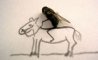 Fun Pic - Neues aus der Tierwelt: Fliegen privat - 5