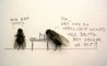 Fun Pic - News From The Animal World: Flies Private - 9