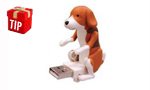 Fun Pic - Lastminute Geschenk-Tipp: USB Humping Dog