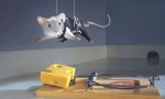 Fun Pic : Cheese impossible