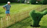 Fun Pic : German hedge