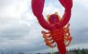 Fun Pic - Lass deinen Drachen steigen - 6