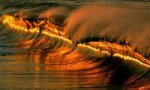 Fun Pic : die perf ... äh goldene Welle
