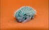 Fun Pic - Igel und Stacheschweine - 8
