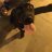 jenny_1227#17603