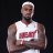 LeBron James#20581