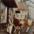 Schlachthaus#24416