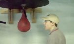 Lustiges Video : Boxbirnen Anpöbler
