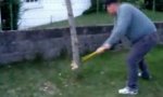 Lustiges Video : Profi-Baumfäller bei der Arbeit