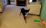 Der Hund und die Vuvuzela
