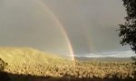 Lustiges Video : Double Rainbow Song