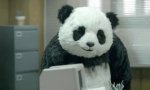 Lustiges Video : Panda Käse #3