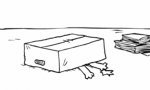 Lustiges Video : Cat In The Box