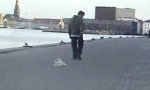 Funny Video : Pull The Dog For Walkies