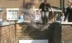 Movie : Parkour Fails 2