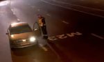 Lustiges Video : Verkehrskontrolle im Rudel