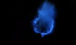 Lustiges Video : Biolumineszenz - Dinoflagellaten vs Stein