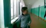 Funny Video : Hammer Shot