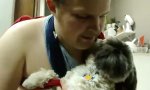 Lustiges Video - Psychedelischer Mundgeruch eines Hundes