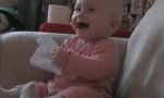 Funny Video : Baby mit Lachkrampf dank Zerreisfetisch