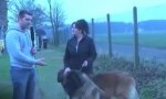 Movie : Hundebesitzer im Interview