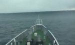 Tsunami Recording by Japanese Coast Guard