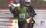 Marathonläufer vs Pfütze