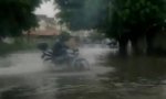 Lustiges Video : Motorisiertes Regen-Rodeo