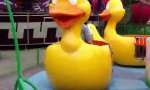 Duck Carousel