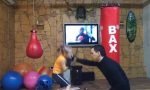 Funny Video : Boxer-Nachwuchs