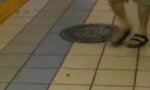 Lustiges Video - Buggy U-Bahnstation in Japan