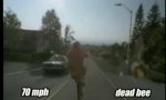 Funny Video : Auf einem Rad