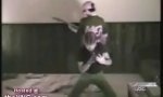 Funny Video : Dancing like hell