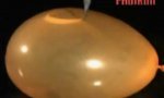 Funny Video : Highspeed balloon boom