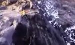 Lustiges Video : Skydiving