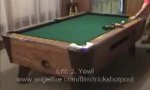 Funny Video : Pool professional