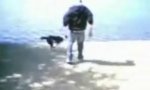 Funny Video : Stealing dog