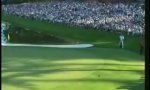 Lustiges Video : Tiger Woods