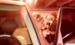 Lustiges Video : Paris Hilton Parking