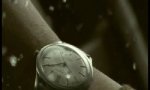 Lustiges Video : More Time