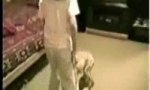 Funny Video : Dog dressage